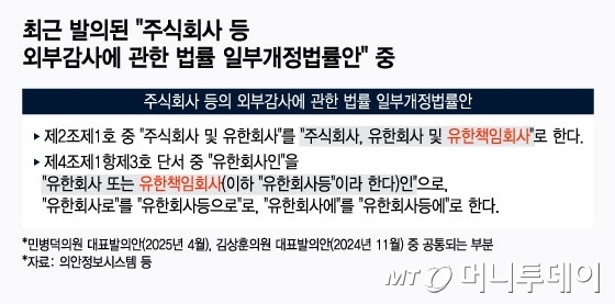 최근 발의된 '주식회사 등 외부감사에 관한 법률 일부개정법률안' 중 일부 내용./그래픽=윤선정 디자인 기자
