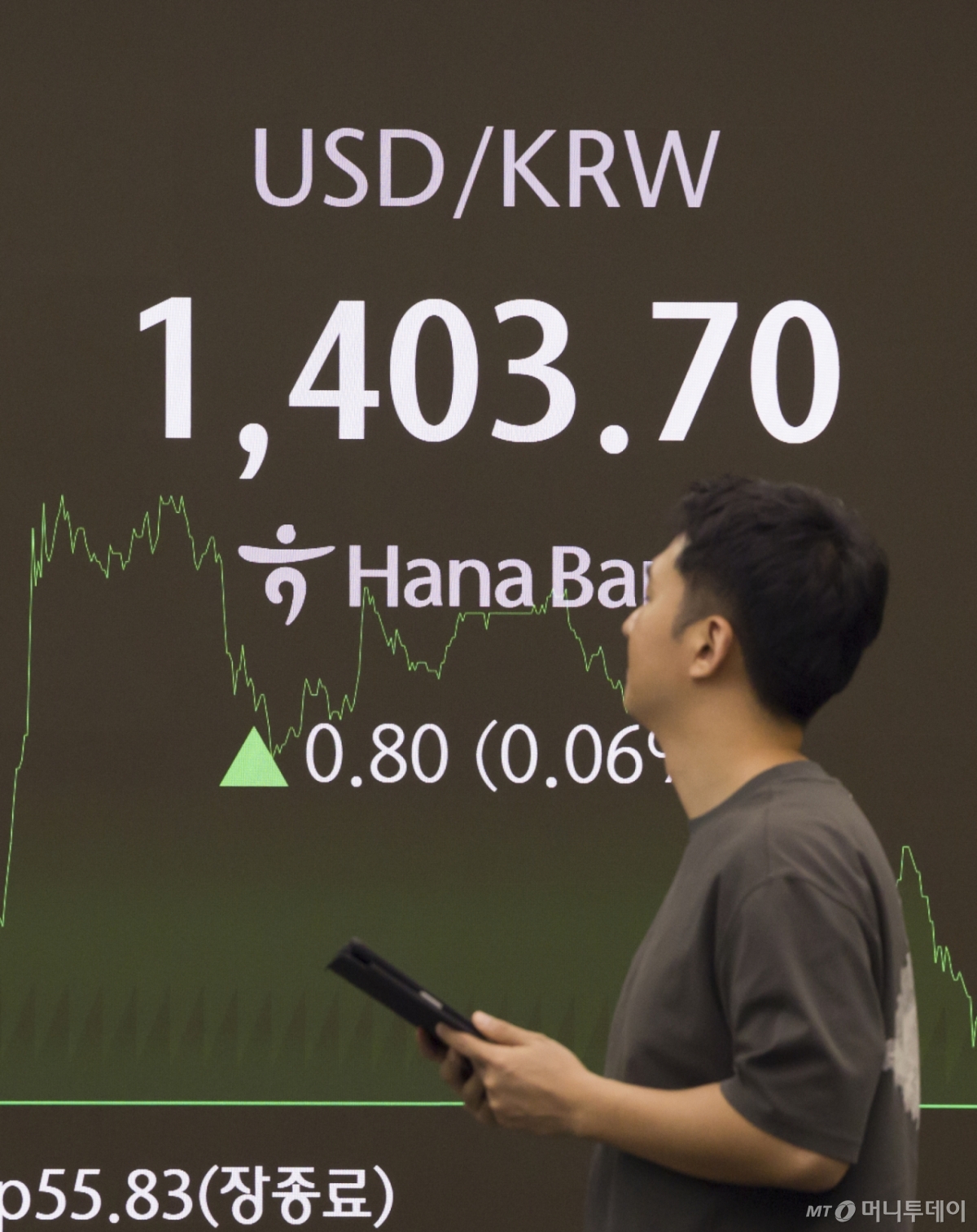 환율이 이럴줄은