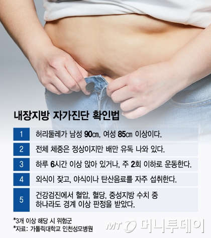 내장지방 자가진단 확인법. /그래픽=윤선정 디자인기자