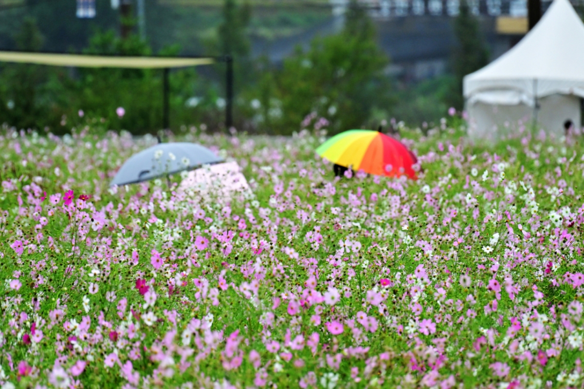 추석 이튿날인 오늘(7일) 전국 대부분 지역에 가끔 비가 내리겠다./사진=뉴시스