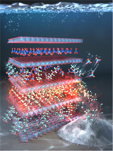 '질산염이 삽입된 구리 알리미늄 이중층상수산화물을 이용한 PFAS 제거·무기화 과정'(CTR 공정) 모식도./사진제공=부경대