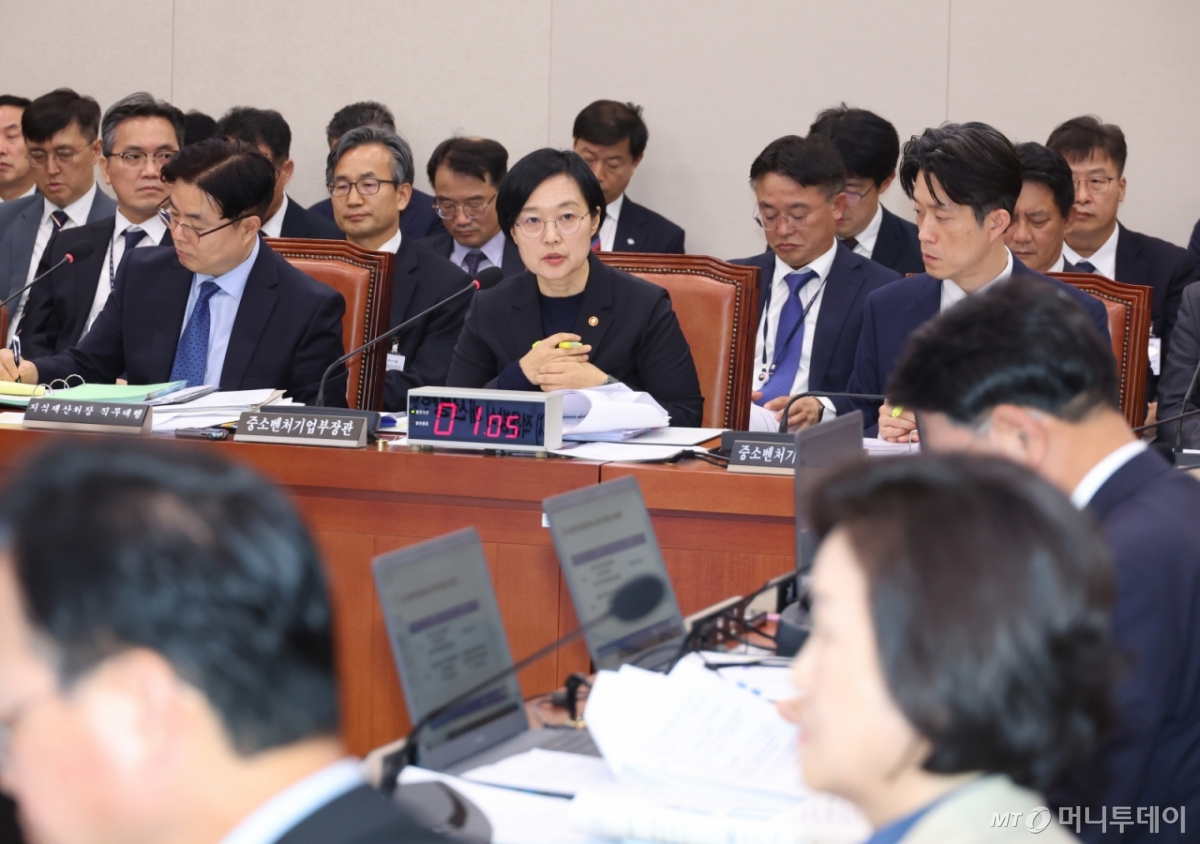 한성숙 중소벤처기업부 장관이 14일 서울 여의도 국회에서 열린 산업통상자원중소벤처기업위원회의 중소벤처기업부 등 국정감사에서 의원 질의에 답하고 있다./사진=뉴시스