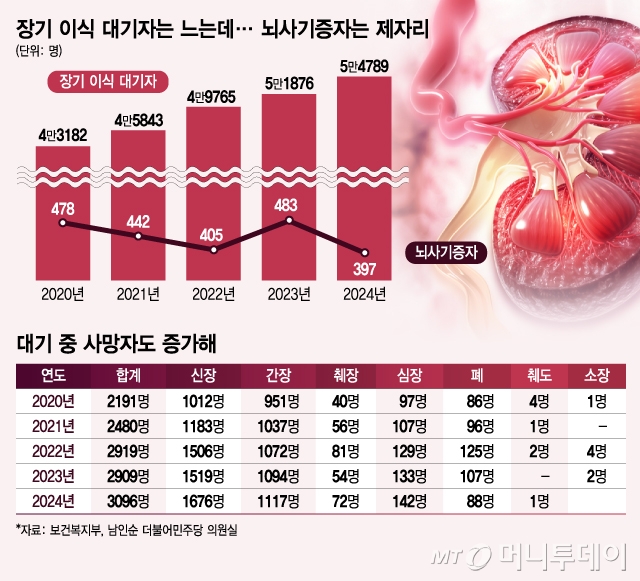 장기 이식 대기자는 느는데…뇌사기증자는 제자리/그래픽=김지영