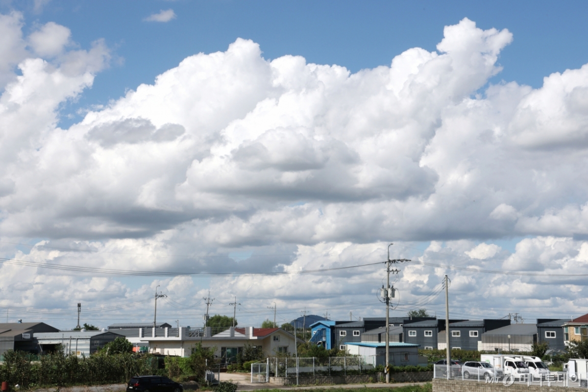 일요일인 오늘(19일)은 전국이 대체로 흐리고 곳곳에 비 소식이 있으나, 오후부터 차차 맑아지겠다./사진=뉴스1