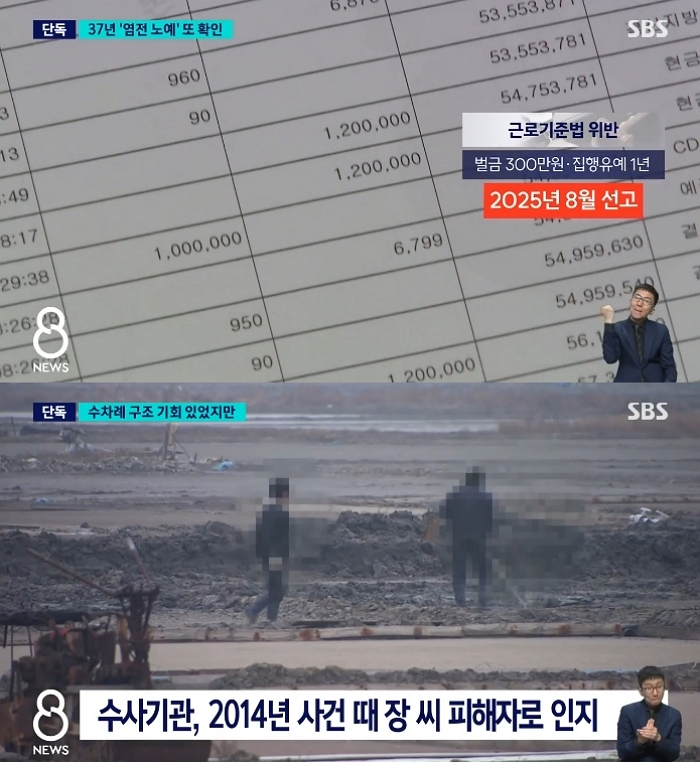 /사진=SBS 뉴스 캡처