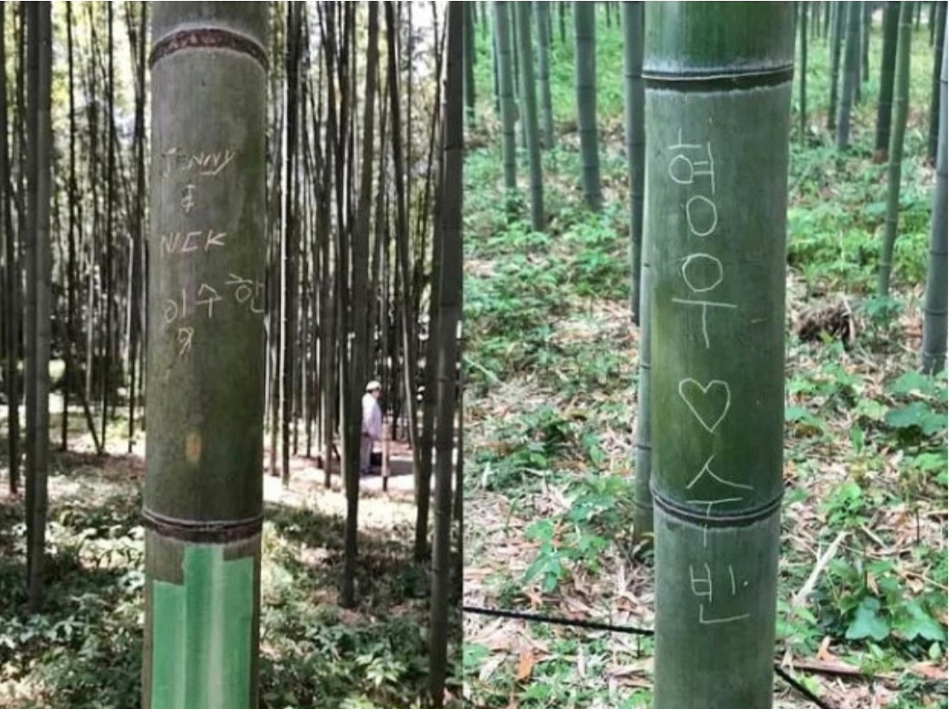 일본 교토 아라시야마 대나무 숲길에 적힌 한글 낙서./사진=서경덕 교수 제공