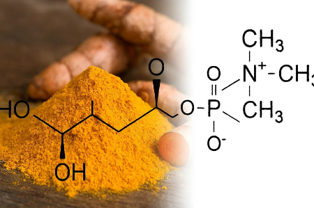 강황 추출물(커큐민) 이미지./사진=알피바이오