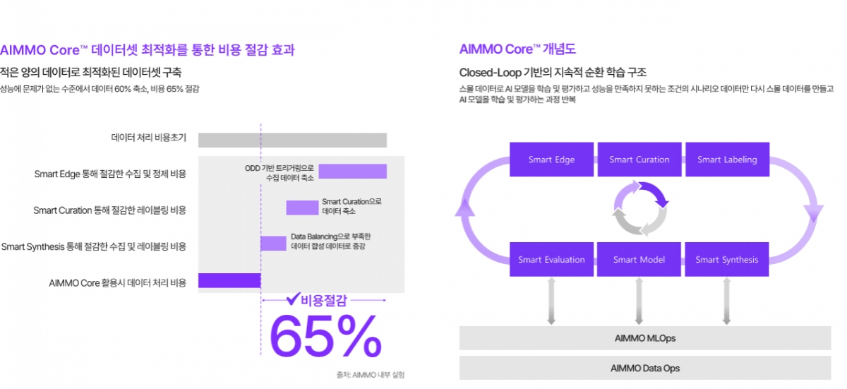 에이모코어의 데스트 효과 및 개념도 /사진제공=에이모