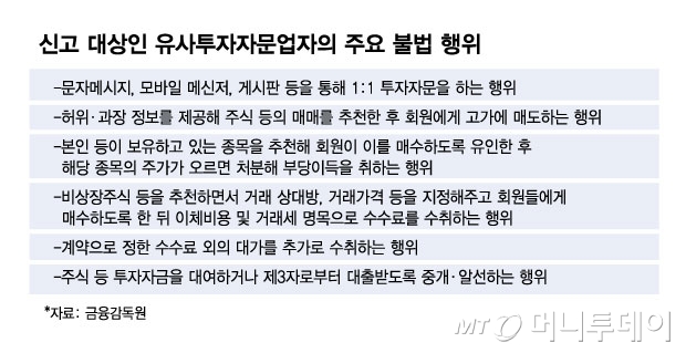 신고 대상인 유사투자자문업자의 주요 불법 행위/그래픽=김현정