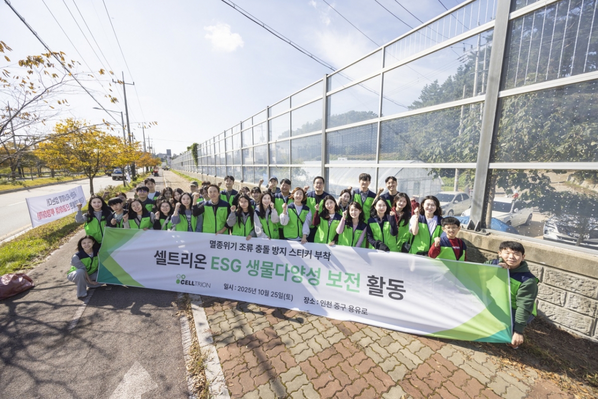 조류 충돌 방지 스티커가 부착된 유리벽