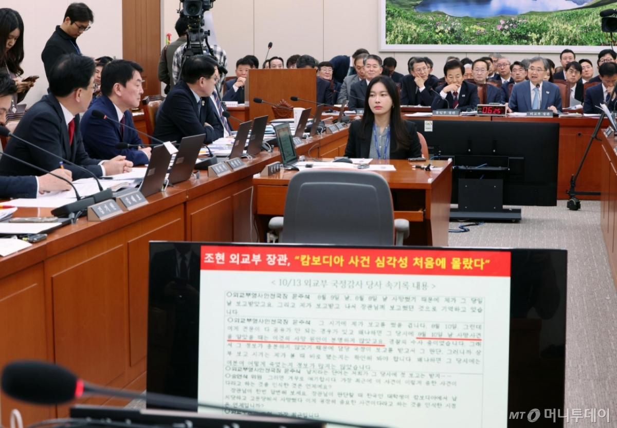 [서울=뉴시스] 김명년 기자 = 조현 외교부 장관이 28일 서울 여의도 국회 외교통일위원회에서 열린 외교부-통일부 등에 대한 국정감사에서 송언석 국민의힘 원내대표의 캄보디아 사태 관련 질의에 답변하고 있다. 2025.10.28.