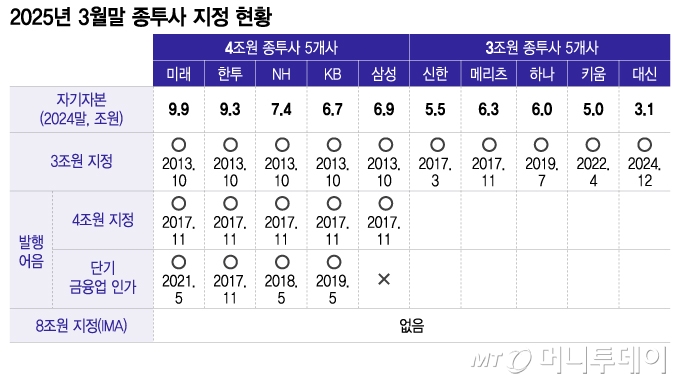 2025년 3월말 종투사 지정 현황/그래픽=이지혜