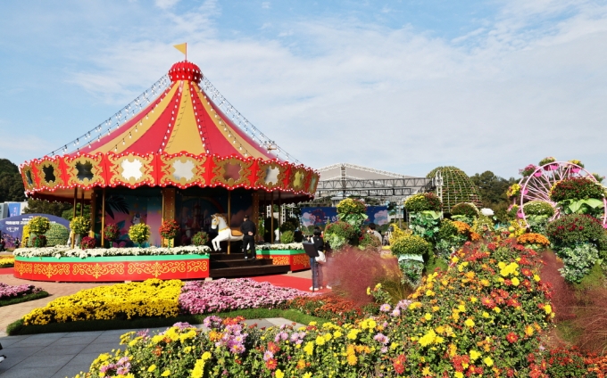 ▲2025 대향민국 국향대전 현장 조형물/사진제공=함평축제관광재단