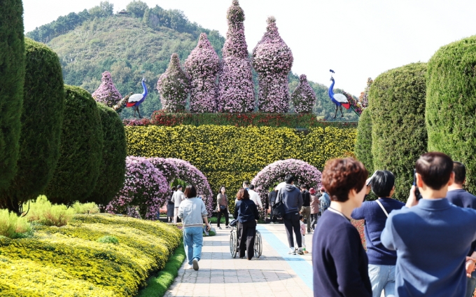 ▲2025 대향민국 국향대전에 많은 사람들이 찾았다./사진제공=함평축제관광재단
