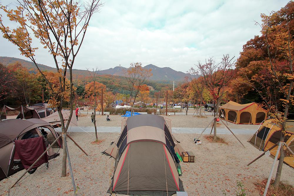 경기 군포시의 초막골생태공원 느티나무야영장. / 사진 = 한국관광공사 제공