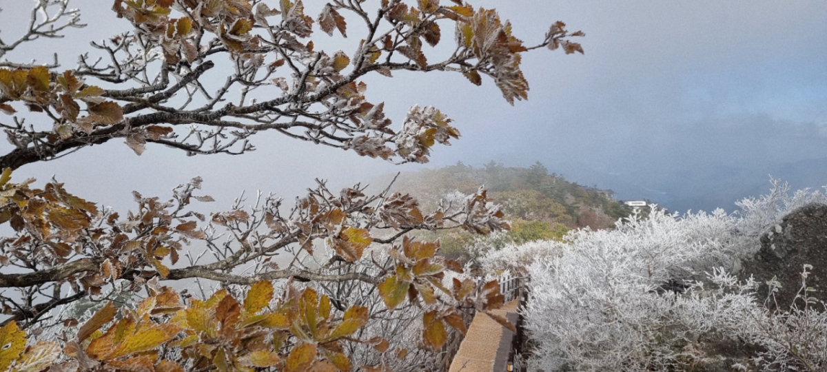전북 무주군 덕유산 향적봉에 지난달 27일 올해 첫 상고대가 관측됐다. /사진=뉴스1(덕유산국립공원사무소 제공)