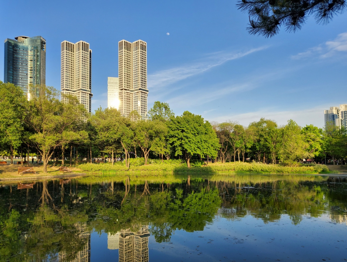 2026년 서울국제정원박람회 대상지 서울숲 전경(공원사진사 촬영)/사진제공=서울시