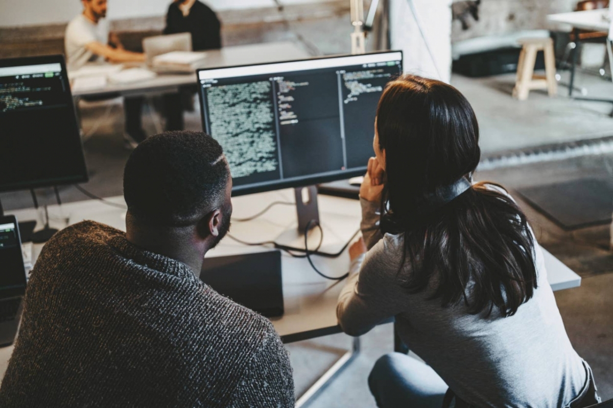 대학 망가졌는데 뭐하러