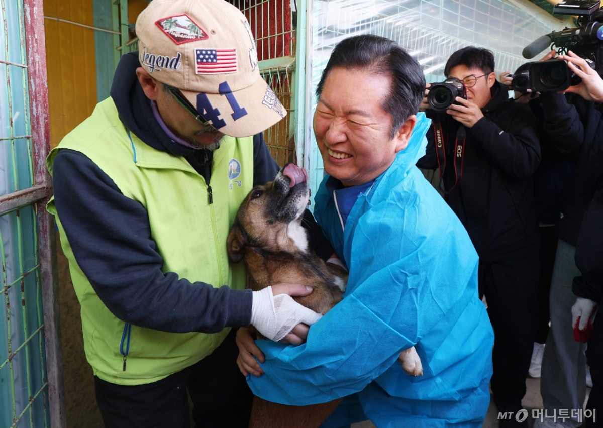 (용인=뉴스1) 김도우 기자 = 정청래 더불어민주당 대표가 9일 용인시 처인구의 한 유기견 보호소를 봉사활동차 방문해 유기견과 인사를 나누고 있다. (공동취재) 2025.11.9/뉴스1  Copyright © 뉴스1. All rights reserved. 무단 전재 및 재배포,  AI학습 이용 금지. /사진=(용인=뉴스1) 김도우 기자