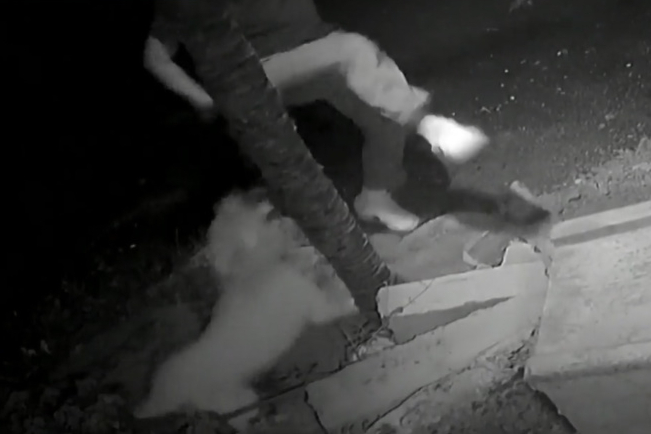 반갑다고 꼬리 흔드는 개를 마구잡이로 공격하는 한 남성의 모습이 포착됐다. /사진=JTBC '사건반장' 방송 화면