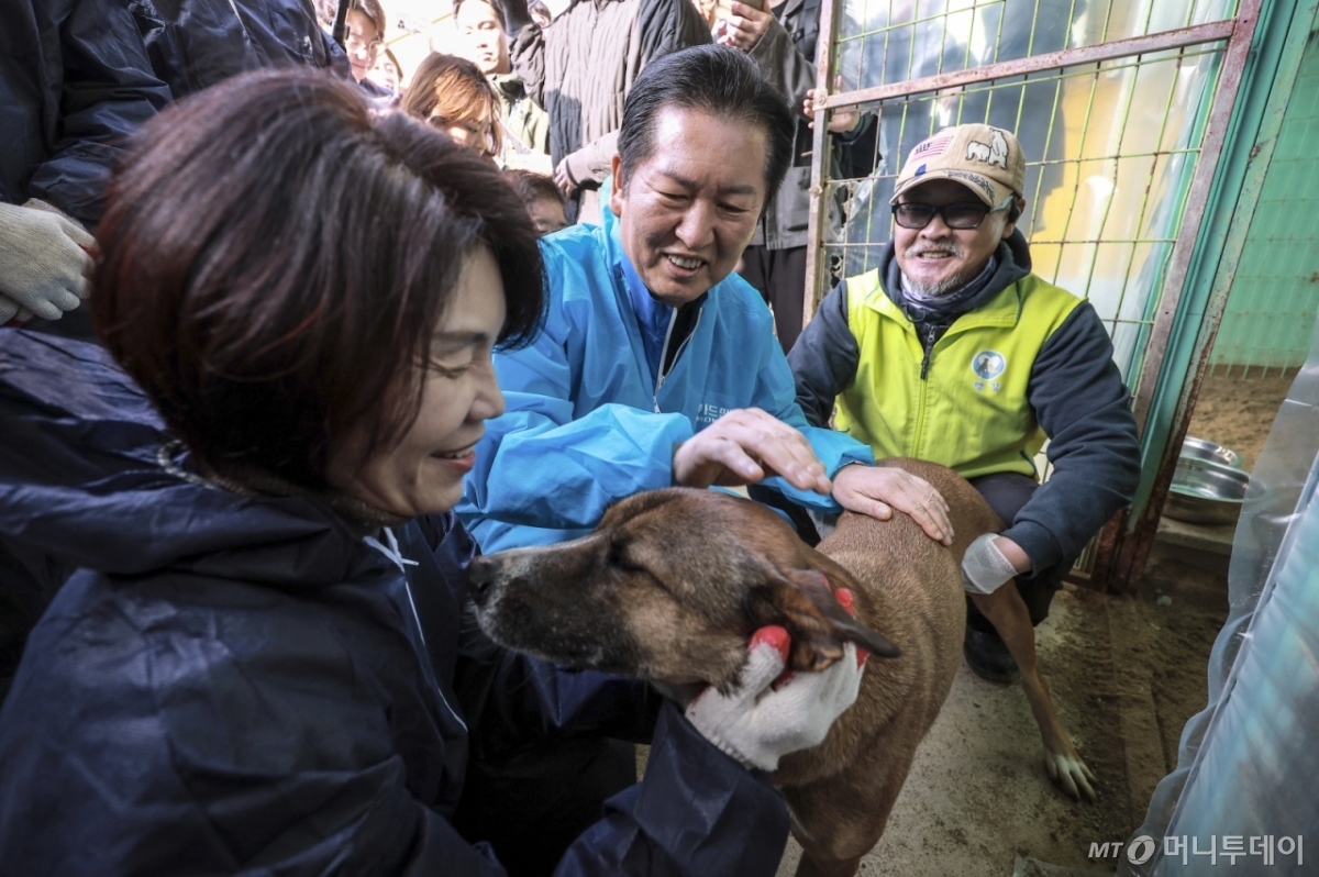 [용인=뉴시스] 정병혁 기자 = 정청래 더불어민주당 대표가 9일 경기 용인시의 유기견 보호소 행복한 강아지들이 사는집을 찾아 봉사활동에 앞서 강아지들과 인사를 하고 있다. 2025.11.09. jhope@newsis.com /사진=정병혁