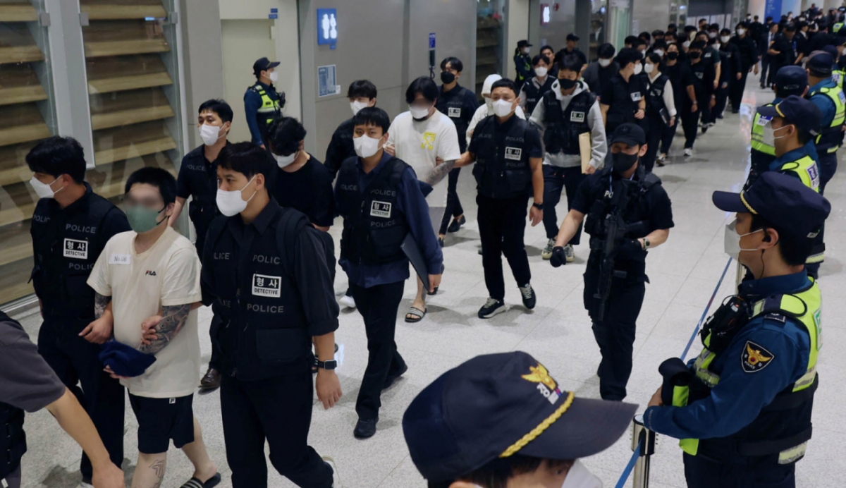 캄보디아 당국의 범죄단지 단속으로 적발돼 구금됐던 한국인들이 18일 오전 인천국제공항 2터미널을 통해 송환되고 있다. 이번 송환 대상자들은 이른바 '웬치'로 불리는 캄보디아 범죄단지에서 보이스피싱이나 로맨스 스캠(사기) 등 범죄에 가담한 혐의를 받고 있다. 이들은 호송 차량 23대 등을 타고 충남경찰청 등 6개 관할 경찰관서로 압송된다/사진=뉴스1