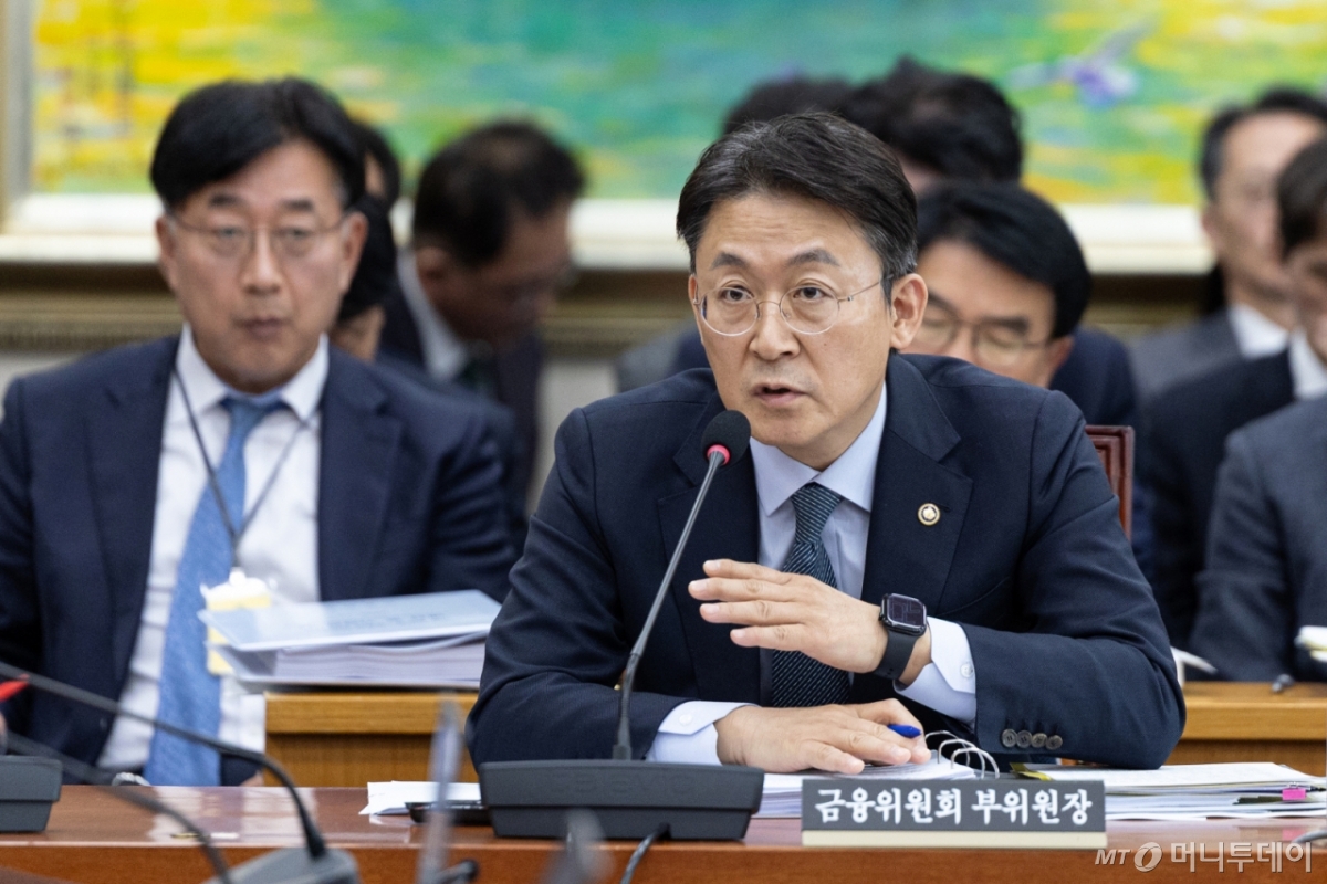 (서울=뉴스1) 이승배 기자 = 권대영 금융위원회 부위원장이 11일 서울 여의도 국회에서 열린 제429회국회(정기회) 정무위원회 제8차 전체회의에 출석해 의원 질의에 답변하고 있다. 2025.11.11/뉴스1 Copyright © 뉴스1. All rights reserved. 무단 전재 및 재배포, AI학습 이용 금지. /사진=(서울=뉴스1) 이승배 기자