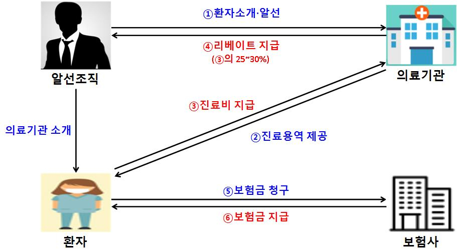다단계 환자알선조직 A회사 범행구조도. /사진제공=서울경찰청.