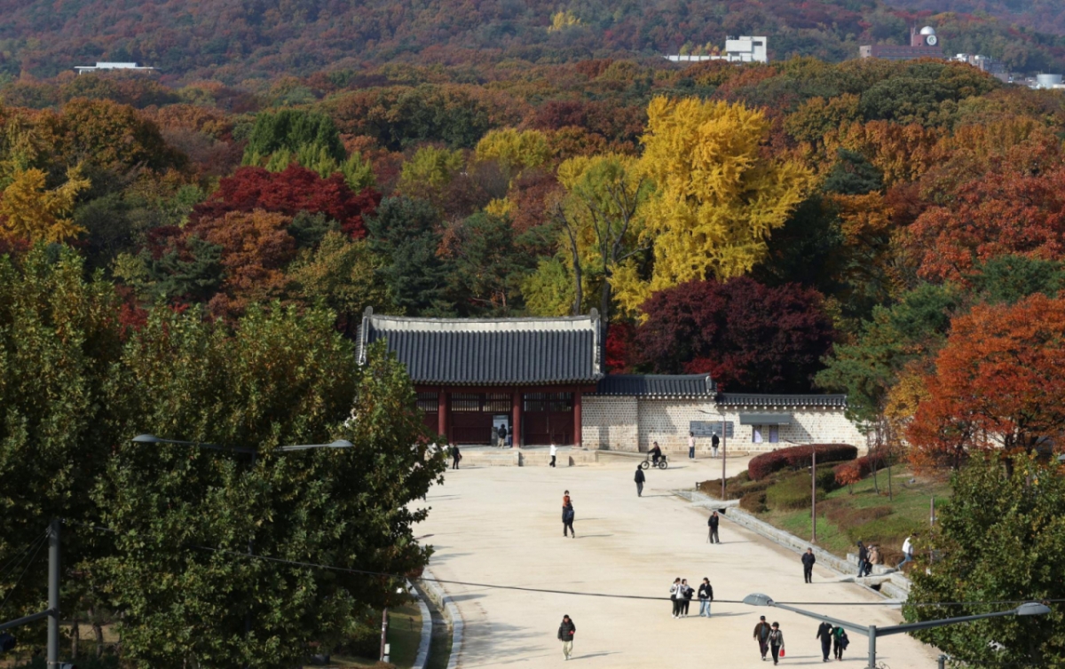 지난 11일 오후 서울 종로구 종묘 주변이 울긋불긋 단풍으로 물들어 있다. / 사진 = 뉴시스 