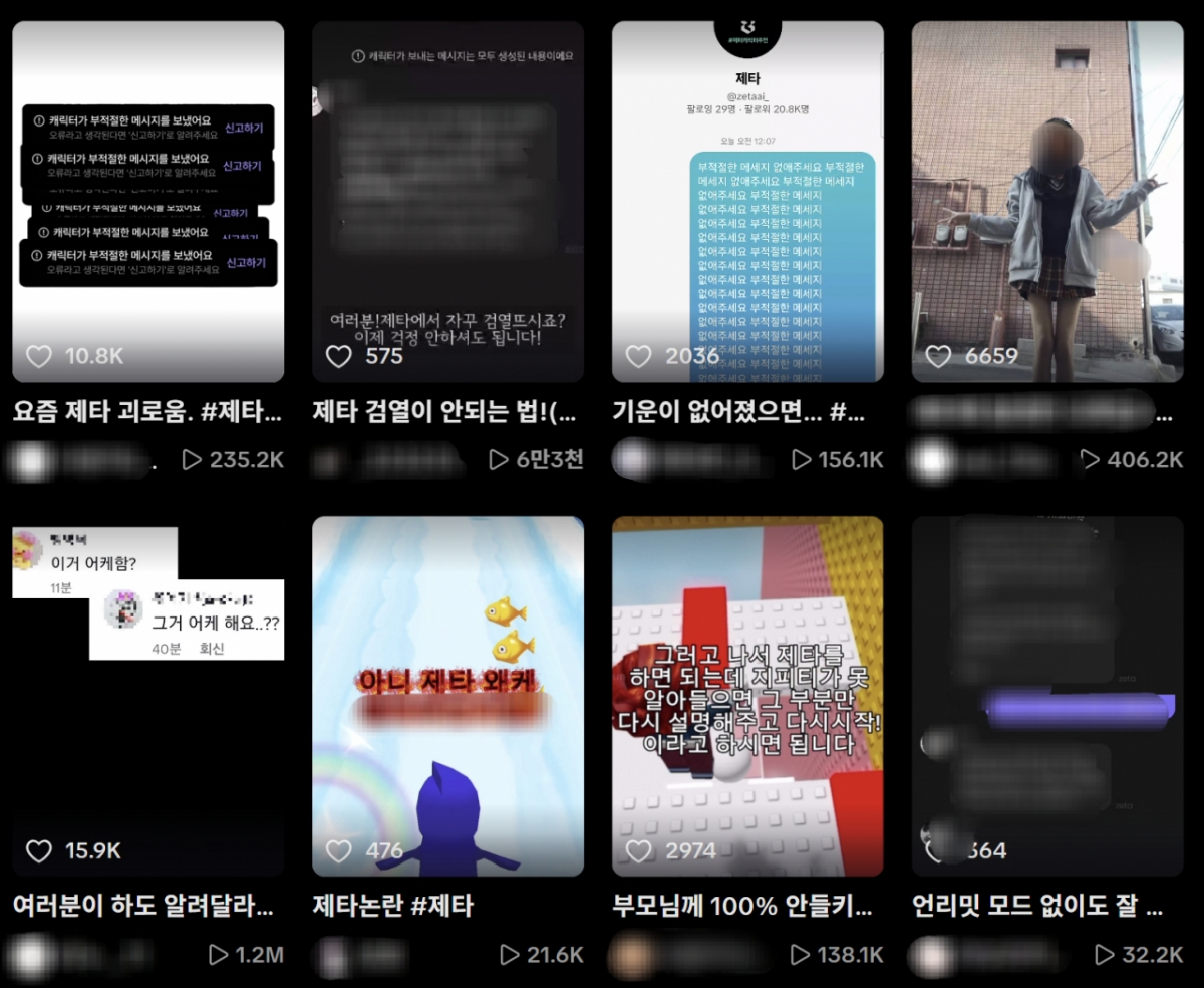 동영상 플랫폼 틱톡에 게시된 '제타 검열 우회' 관련 영상. /사진=틱톡 캡처