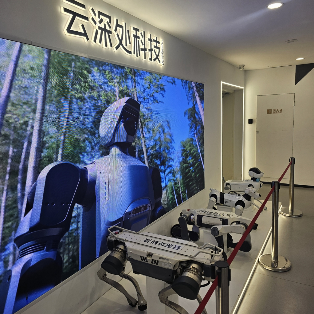 딥로보틱스의 라이다 센서를 탑재한 강아지 모형 로봇.