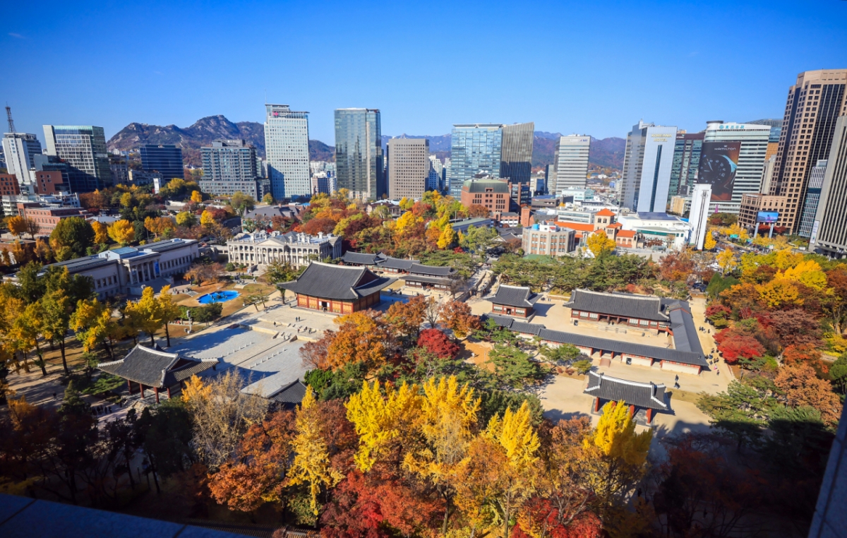 14일 오후 중구 정동전망대에서 바라본 덕수궁이 단풍이 울긋불긋 물들어 있다./사진=뉴스1