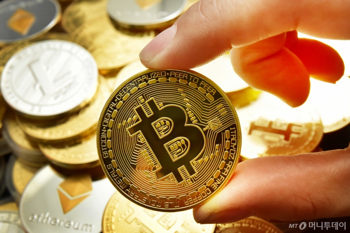 비트코인 반년만에 9만5000달러 붕괴…위험자산 회피 확산 - 머니투데이