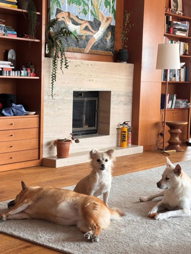 가수 이상순이 아내인 가수 이효리와 함께 사는 집을 공개했다./사진=이상순 SNS