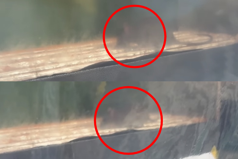 서울 도심 곳곳에서 쥐를 목격했다는 민원이 잇따르고 있는 가운데 영업을 끝낸 붕어빵 노점에서도 쥐를 봤다는 영상이 온라인 상에서 화제다./사진=SNS