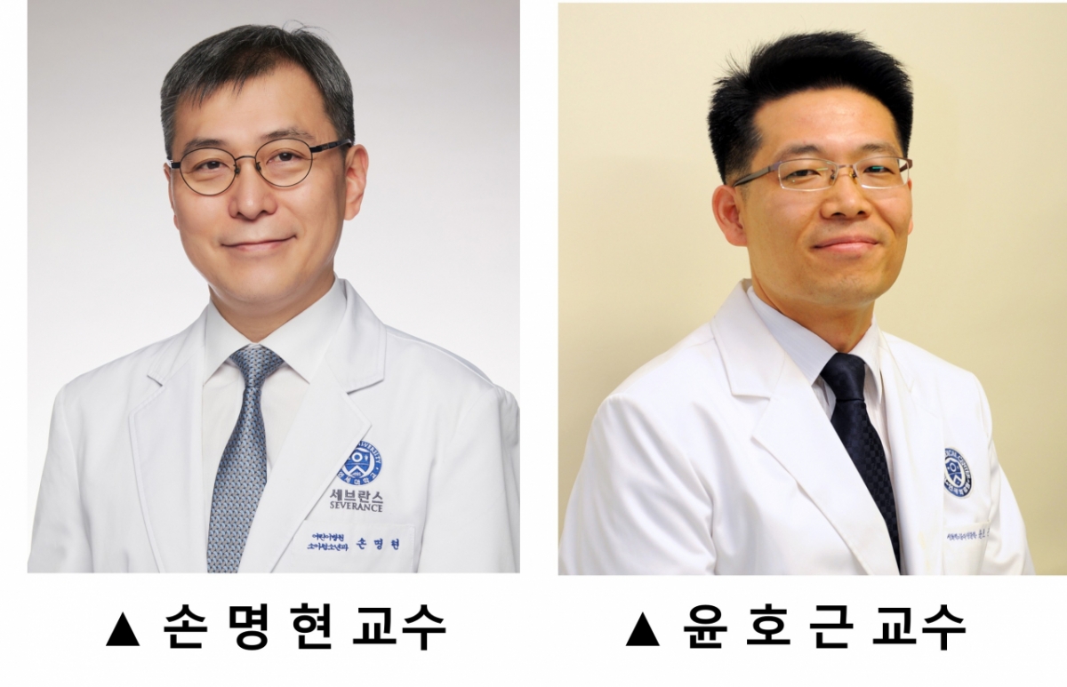  손명현 연세세브란스병원 알레르기·천식센터 교수, 윤호근 연세대학교 의과대학 생화학 분자생물학교실 교수 공동 연구진. /사진제공=연세세브란스병원