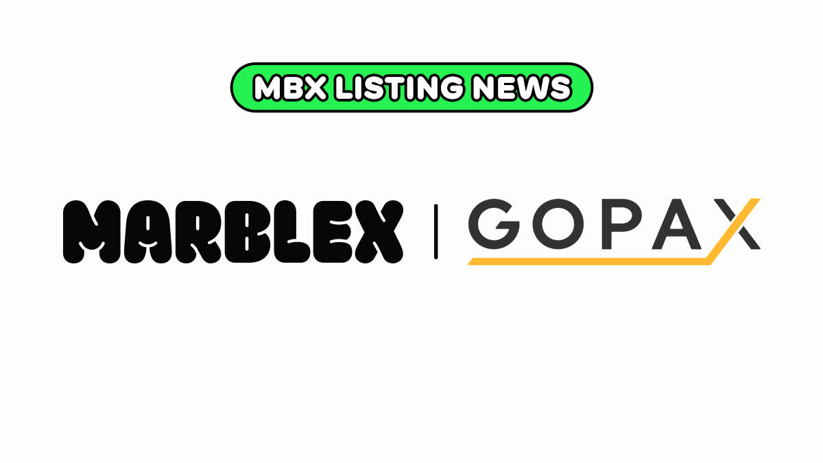 IT/과학 - 머니투데이