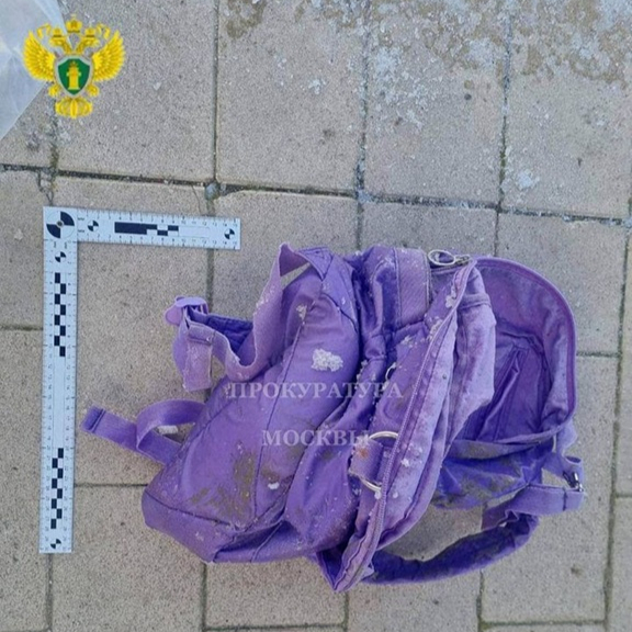 러시아 모스크바 북동부 골랴노프스키 연못에서 6세 소년의 머리가 든 채 발견된 배낭. /사진=뉴시스(모스크바 검찰청)