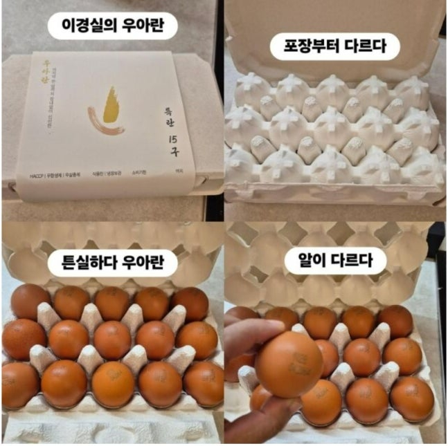 조혜련이 이경실의 '우아란' 홍보 글을 인스타그램에 올렸다가 논란이 되자 삭제했다. /사진=스타뉴스 