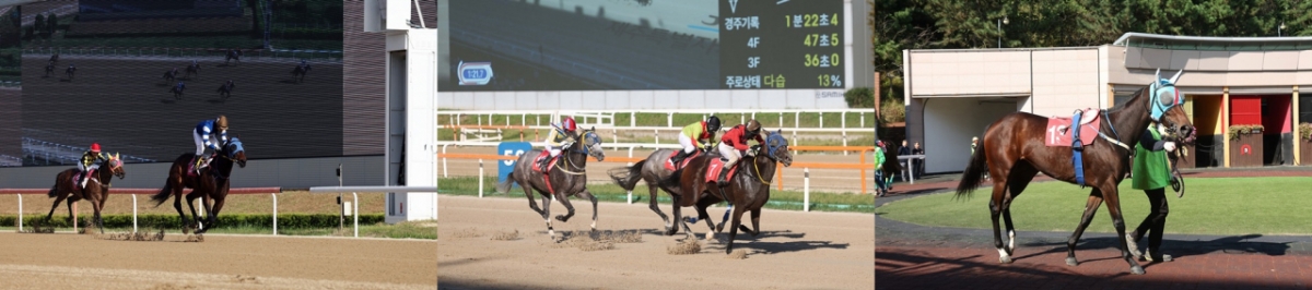 판타스틱밸류(왼쪽 사진 1위 말), 보령라이트퀸(가운데 사진 1위 말), 에이스하이./사진제공=렛츠런파크 부산경남