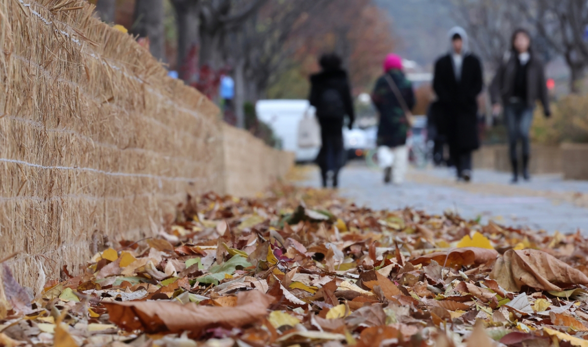 금요일인 오늘(21일)은 대체로 맑은 가운데 큰 일교차를 주의해야겠다./사진=뉴스1