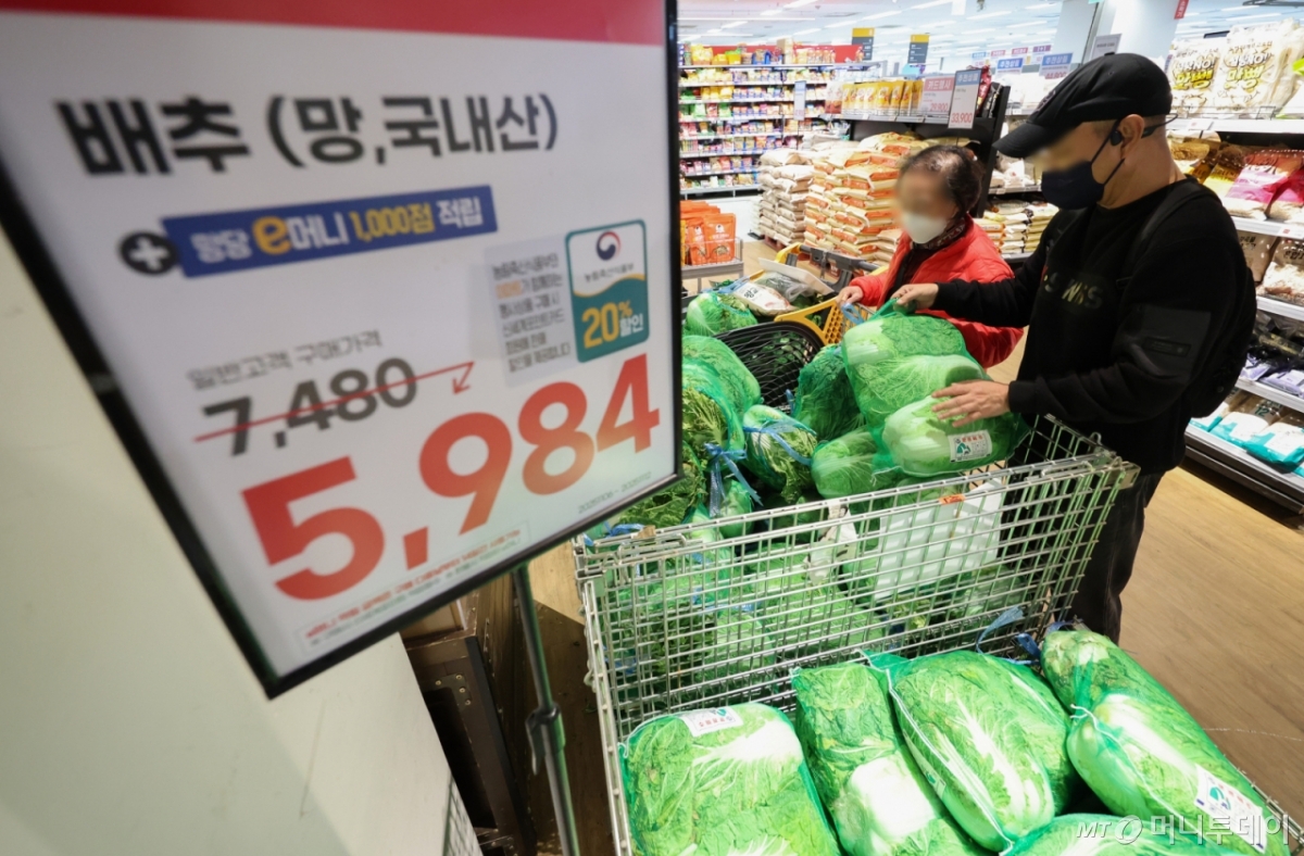 [서울=뉴시스] 황준선 기자 = 6일 서울 이마트 용산점을 찾은 고객들이 배추를 살펴보고 있다.   이마트는 본격적인 김장철을 앞둔 이날부터 12일까지 일주일간 2025년 김장대전을 개최해 배추 1망(3입)과 다발무 1단(5~6입)을 각각 정상가 7480원에서 신세계포인트 적립 시 20% 할인된 5984원에 판매한다. 2025.11.06. hwang@newsis.com /사진=황준선