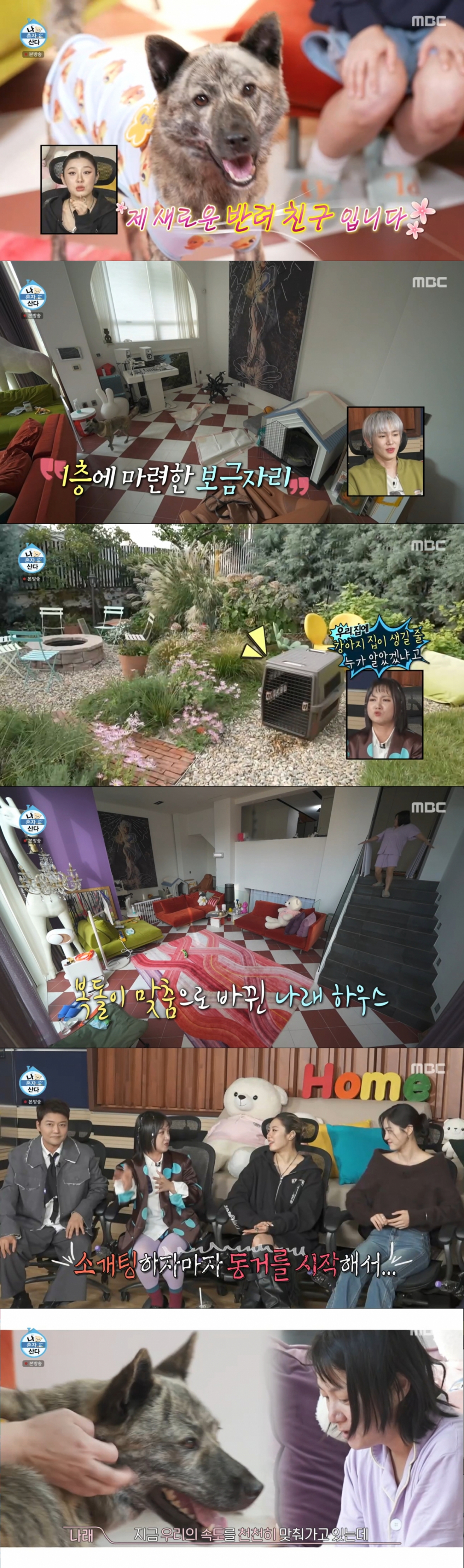 돌아가신 할아버지의 진돗개를 입양한 박나래. /사진=MBC '나 혼자 산다' 캡처