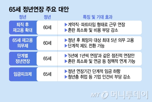 65세 정년연장 주요 대안/그래픽=김지영