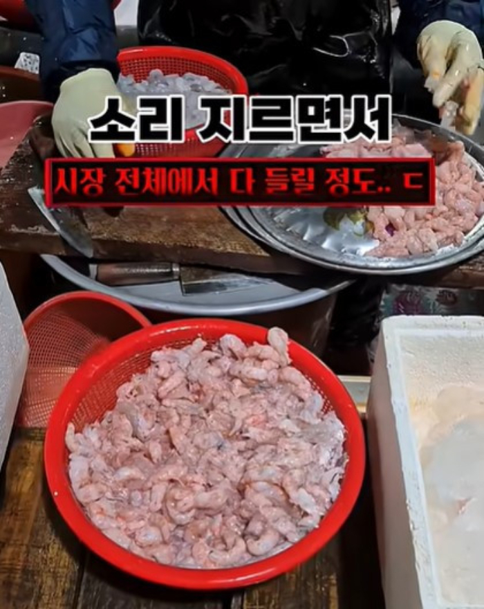 /사진=유튜브 '혼자햐' 캡처