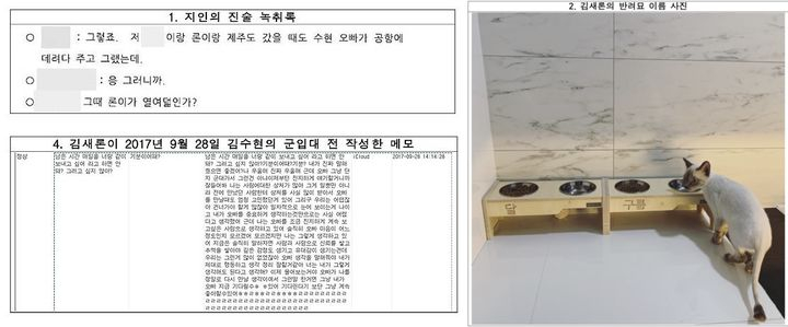 김새론 어머니가 공개한 증거 /사진=법무법인 부유 부지석 변호사