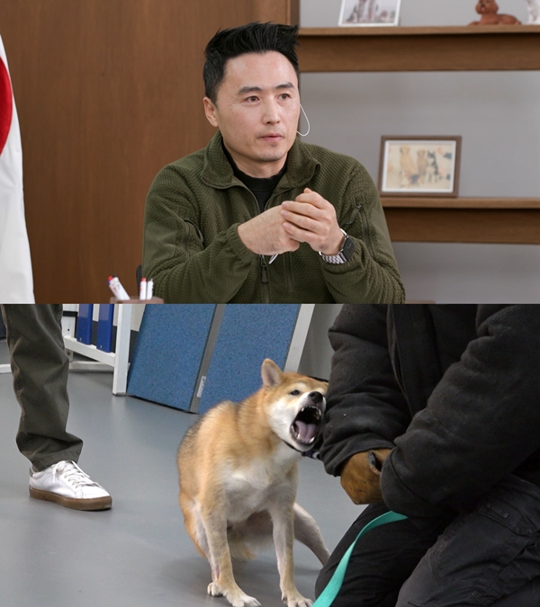 KBS 2TV '개는 훌륭하다'./사진제공=KBS 2TV '개는 훌륭하다'