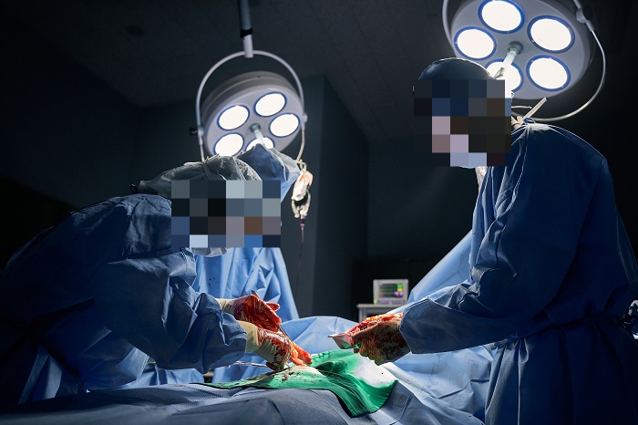 사진은 기사 이해를 돕기 위한 자료 사진. /사진=게티이미지뱅크