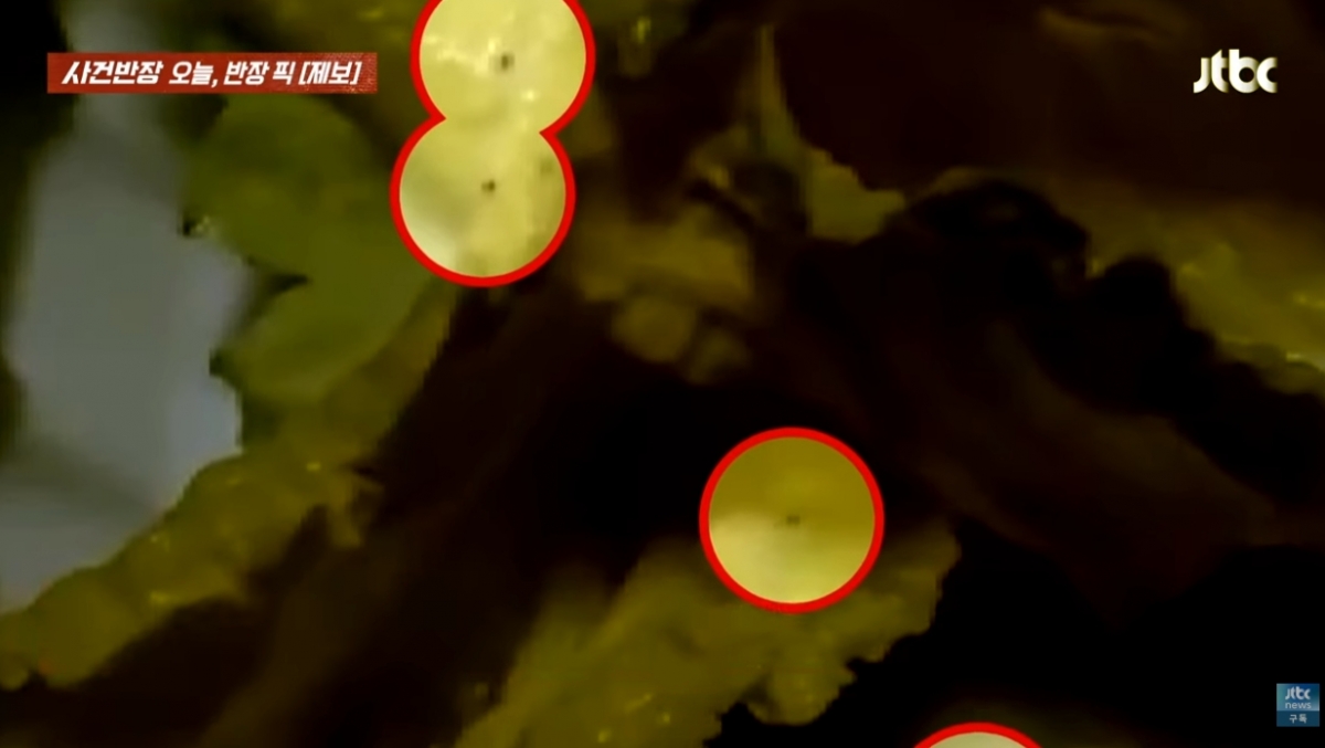  /사진=JTBC '사건반장'