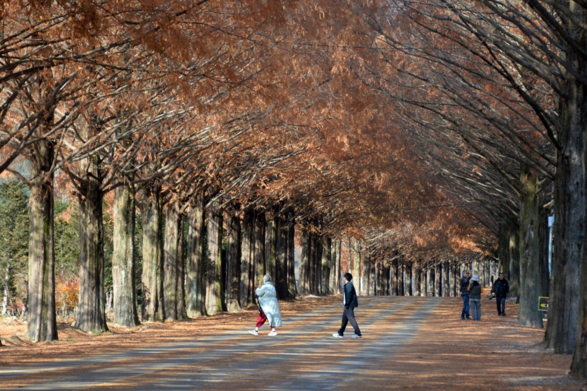  사진은 기사의 이해를 돕기 위한 자료 사진 /사진=뉴시스